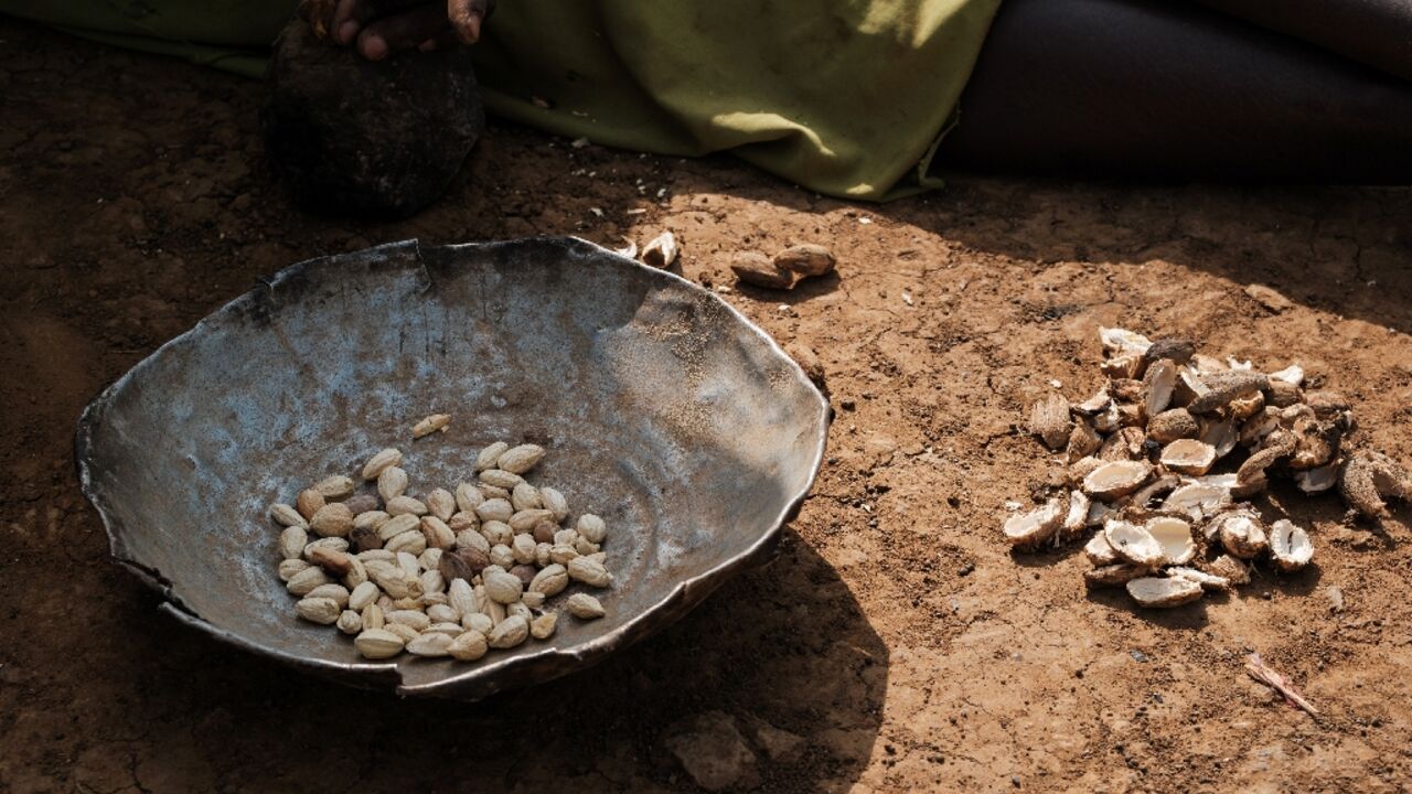 A woman sorts the fruit of the kudra plant to prepare a meal at a camp for displaced people in Kadugli