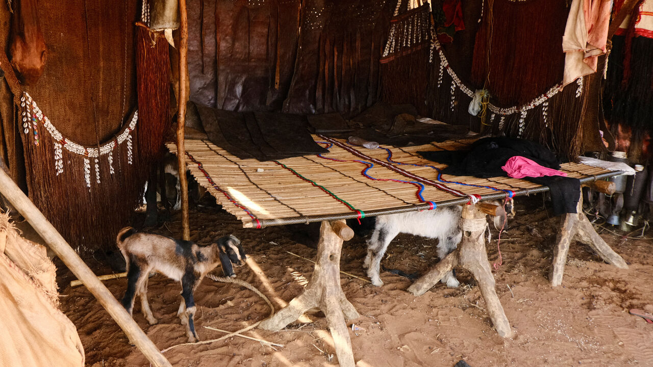 A sheep stands under a bed inside a nomad's tent, El Obeid, North Kordofan, Sudan, January 20, 2026. REUTERS/El Tayeb Siddig