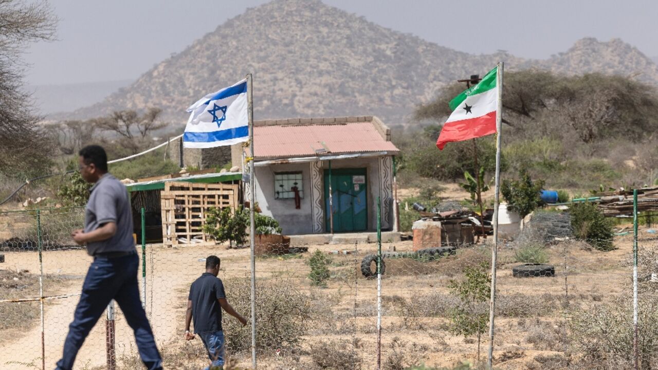 Israeli flags fly at a farm in Somaliland