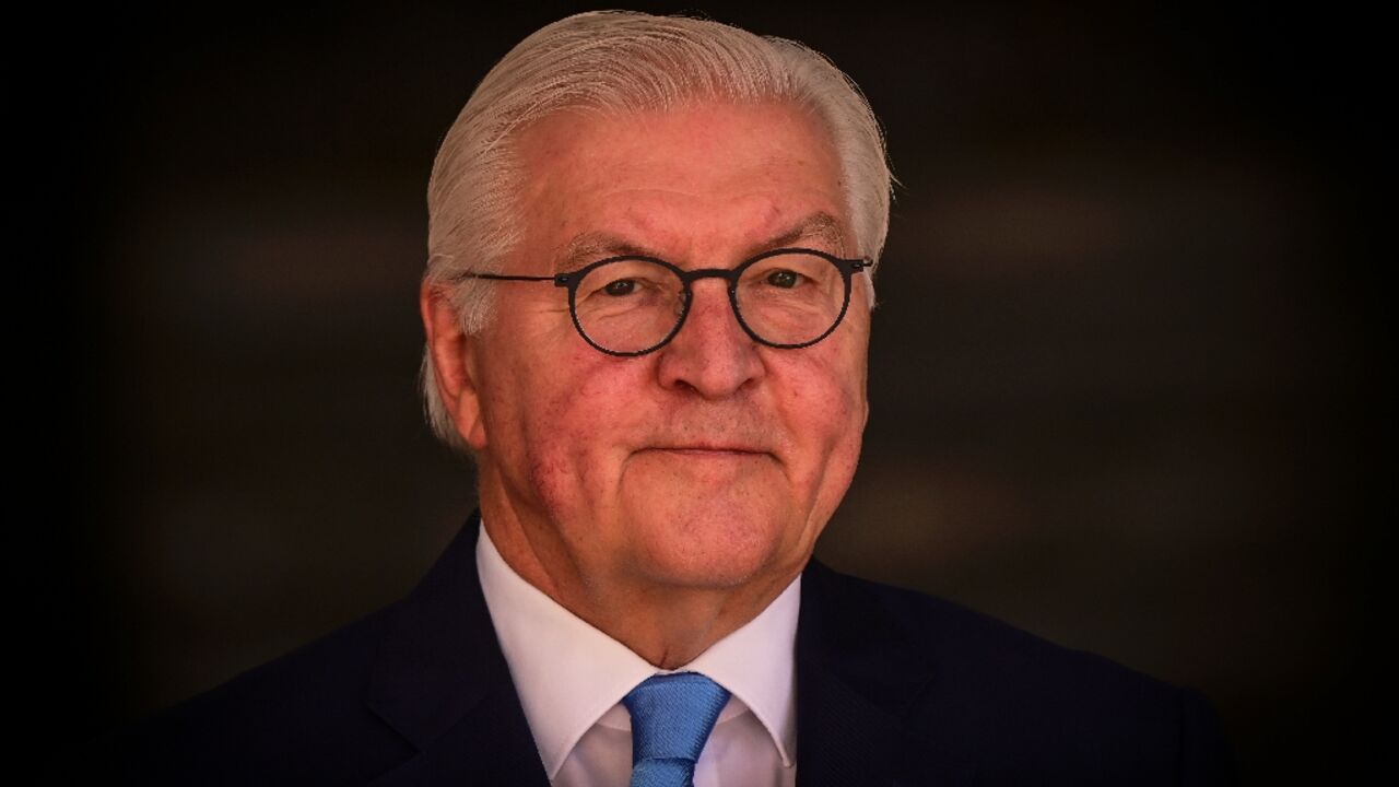 The Israeli-US war on Iran is 'in breach of international law', President Steinmeier says