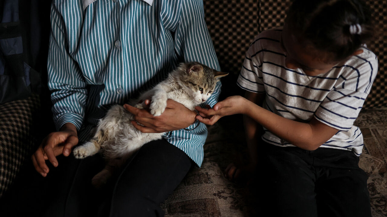 Alma Ghanem, 8, and a family member play with a cat at a shack near Tulkarm in the Israeli‑occupied West Bank, February 16, 2026. Members of the Ghanem family were displaced last year from the Tulkarm refugee camp. REUTERS/Ammar Awad