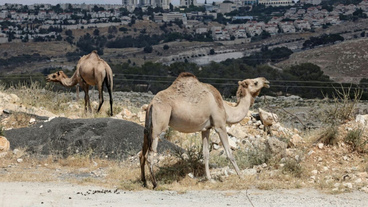 A land corridor that Israel plans to use for its E1 settlement project, near the Arab town of al-Tur in Israel-annexed east Jerusalem