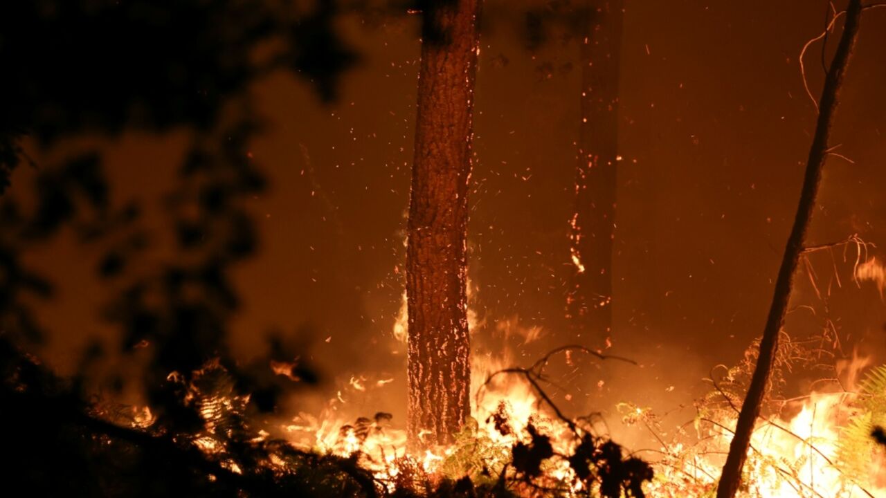 Scientists agree that global warming increases the risk of extreme weather events like heatwaves, droughts and floods.