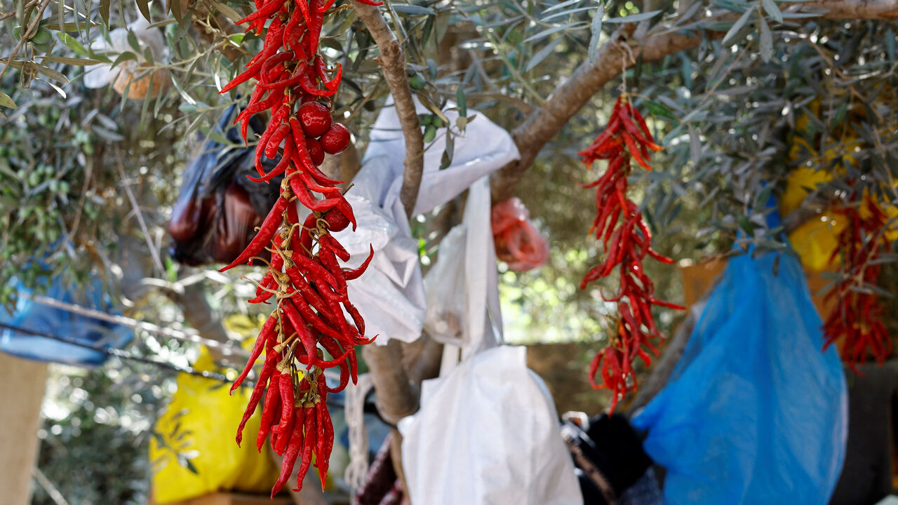 Seeds are displayed at the Qarara Seed Bank in Deir Al-Balah, in the central Gaza Strip, August 27, 2026. REUTERS/Mahmoud Issa