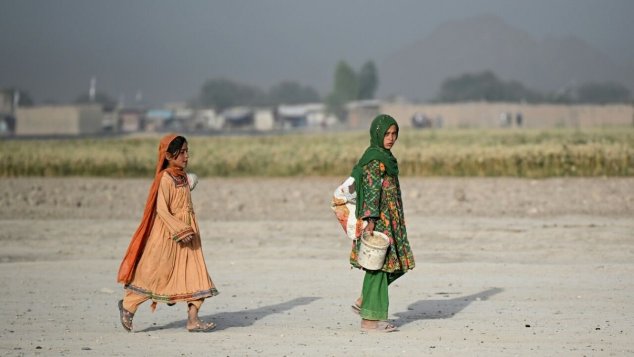 Afghanistan's food crisis is predicted to affect millions of children next year