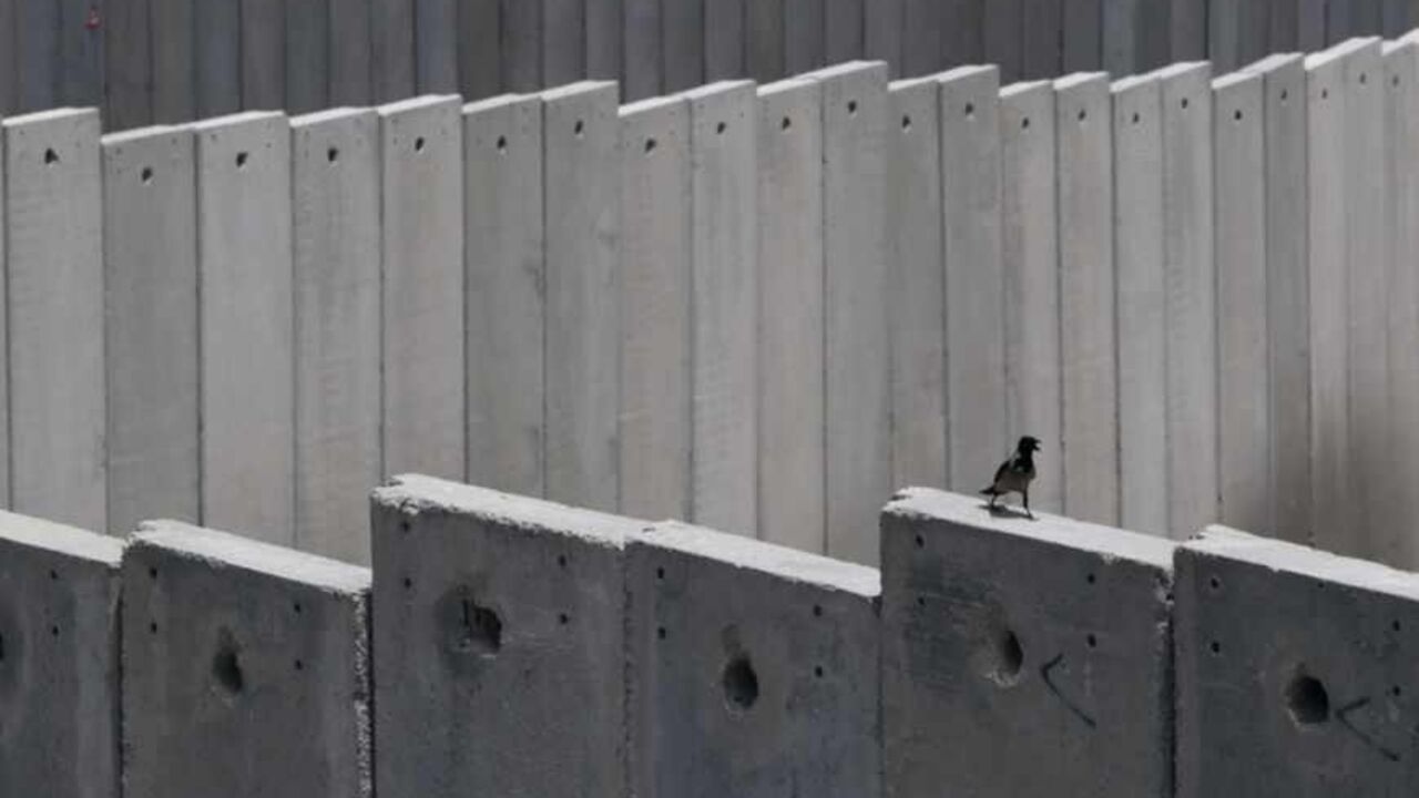 A crow is seen on top of a section of the controversial Israeli barrier next to the Shuafat refugee camp in the West Bank near Jerusalem May 25, 2011. Palestinians and Israelis alike saw little prospect of a fresh start to Middle East peace talks on Wednesday after Israeli Prime Minister Benjamin Netanyahu's keynote speech to Congress. REUTERS/Baz Ratner (JERUSALEM - Tags: POLITICS) - RTR2MVSB