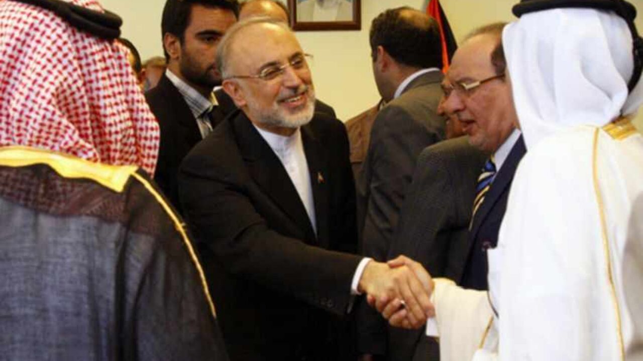 Iran's Foreign Minister Ali Akbar Salehi (C) greets Qatar's Ambassador to Jordan, Zayed bin Said Al-Khayareen during the official opening ceremony for the new headquarters of the Iranian embassy in Amman, May 7, 2013. REUTERS/Majed Jaber (JORDAN - Tags: POLITICS) - RTXZDLU