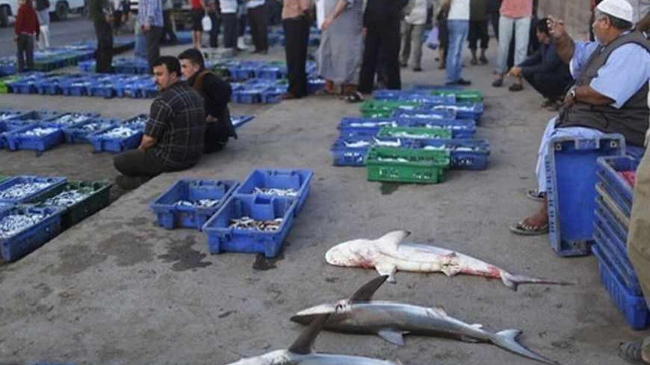 Palestinians sell fish at a fish market in Gaza City May 22, 2013. Israel on Tuesday expanded the distance it permits Gaza fishermen to head out to sea, restoring a limit it cut in half two months ago in response to rocket fire from the Palestinian enclave. REUTERS/Suhaib Salem (GAZA - Tags: POLITICS CIVIL UNREST) - RTXZVXX
