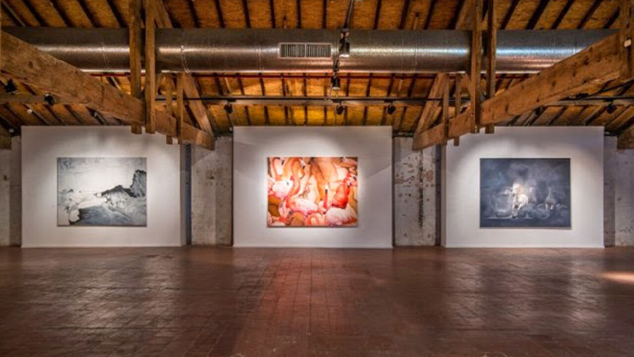 Aline Alagem installation view 1.jpg