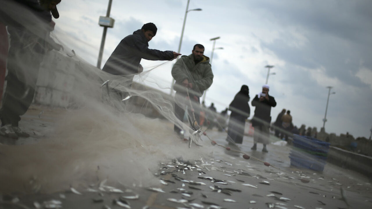 Palestinian fishermen pull their net at the beach in Gaza City January 10, 2015. REUTERS/Mohammed Salem (GAZA - Tags: SOCIETY ENVIRONMENT ANIMALS) - RTR4KTRJ