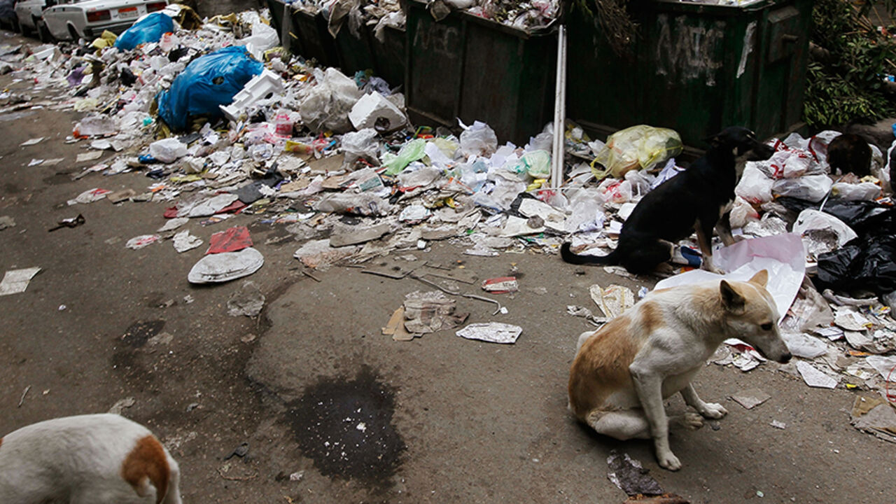 Giza animal shelter offers hope for Egypt's stray dogs - AL-Monitor: The Middle Eastʼs leading independent news source since 2012