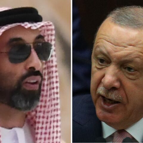 Sheikh Tahnoun bin Zayed al-Nahyan and Erdogan