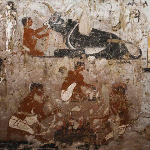 MOHAMED EL-SHAHED/AFP via Getty Images