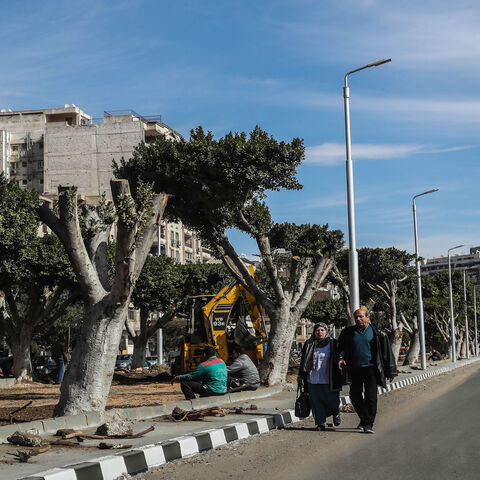 Partially cut-off trees are seen in a street in Heliopolis, Cairo, Egypt, Jan. 27, 2020.