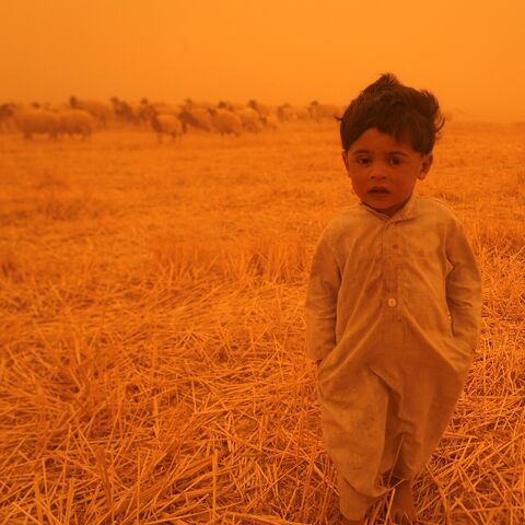 A Bedouin child walks alongside a flock of sheep in the al-Henniyah area outside Najaf, during a sandstorm sweeping Iraq
