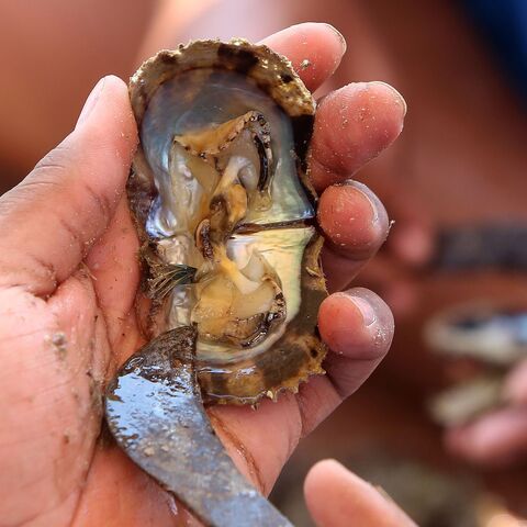 YASSER AL-ZAYYAT/AFP via Getty Images