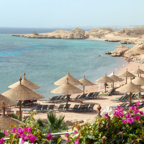 Beach with parasols and blooming bougainvillea near Sharm el-Sheikh,Red Sea,Egypt.