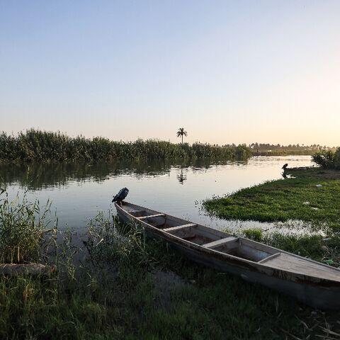 A fishing boat is moored on the banks of a branch of the Euphrates River in the Iraqi town of Al-Hamza