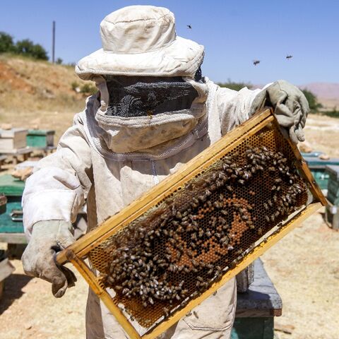 Syrian beekeeper Ibrahim Damiriya tends to his hives near Damascus