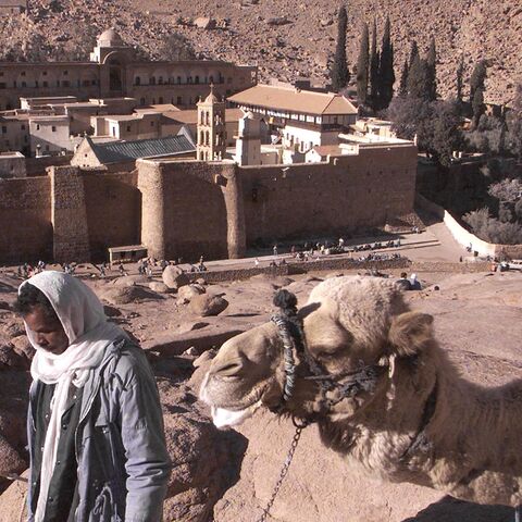 An Egyptian Bedouin walks with his camel on Feb. 24, 2000, outside the walls of Saint Catherine's Monastery in the Sinai Peninsula, some 400 kilometers southeast of Cairo.