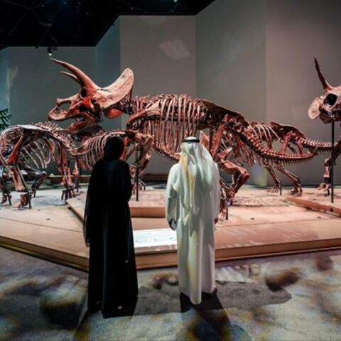 A view of “March of the Triceratops” at the Natural History Museum. Courtesy of the Natural History Museum 