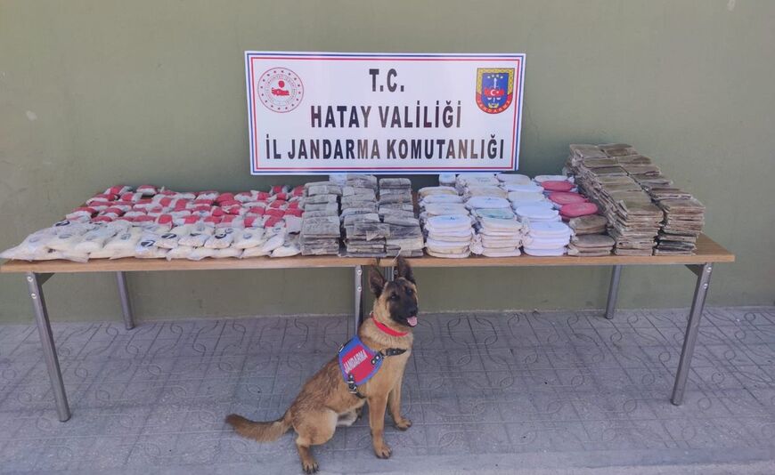 A sniffer dog poses in front of 84,000 captagon pills and other narcotics seized in Hatay, Turkey, June 8, 2021. (TWITTER/HaberHty)