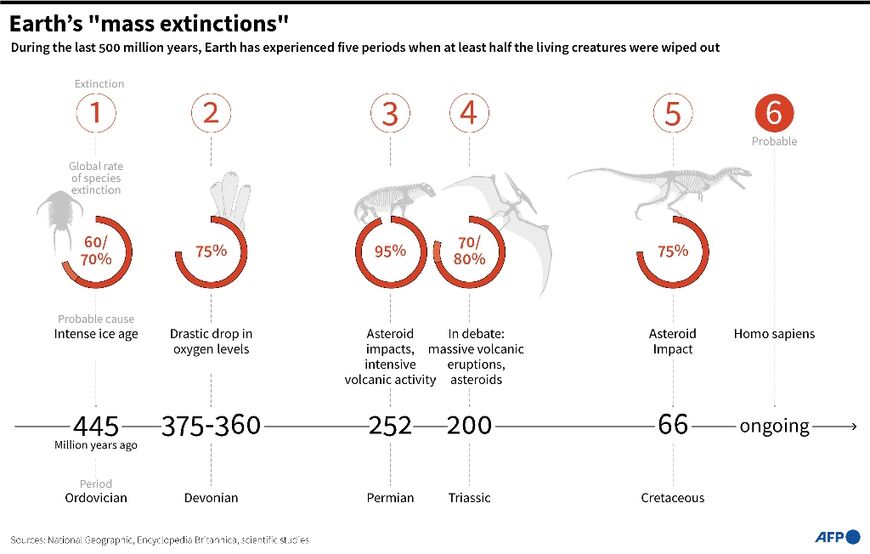 The Earth's mass extinctions