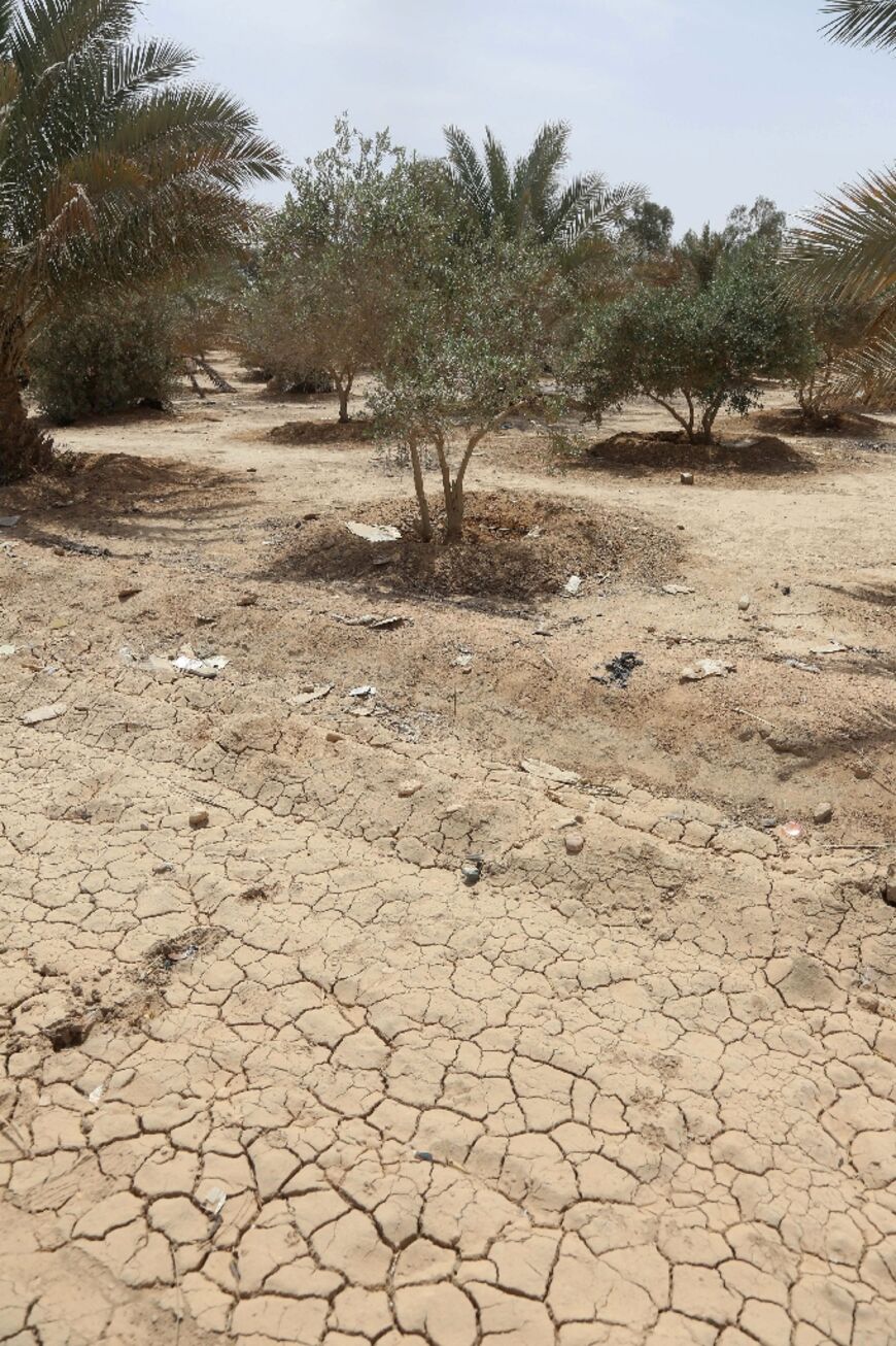 Iraq has long suffered from a host of environmental problems, including drought and desertification, which threaten access to water and livelihoods across the country