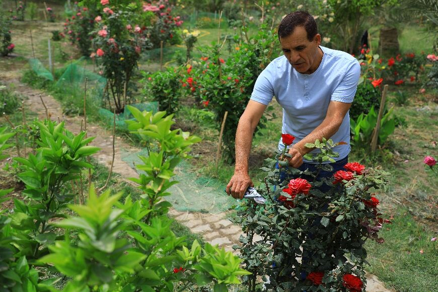 Iraqi environmental activist Latif Dibes works in his home garden, which how serves as a public park