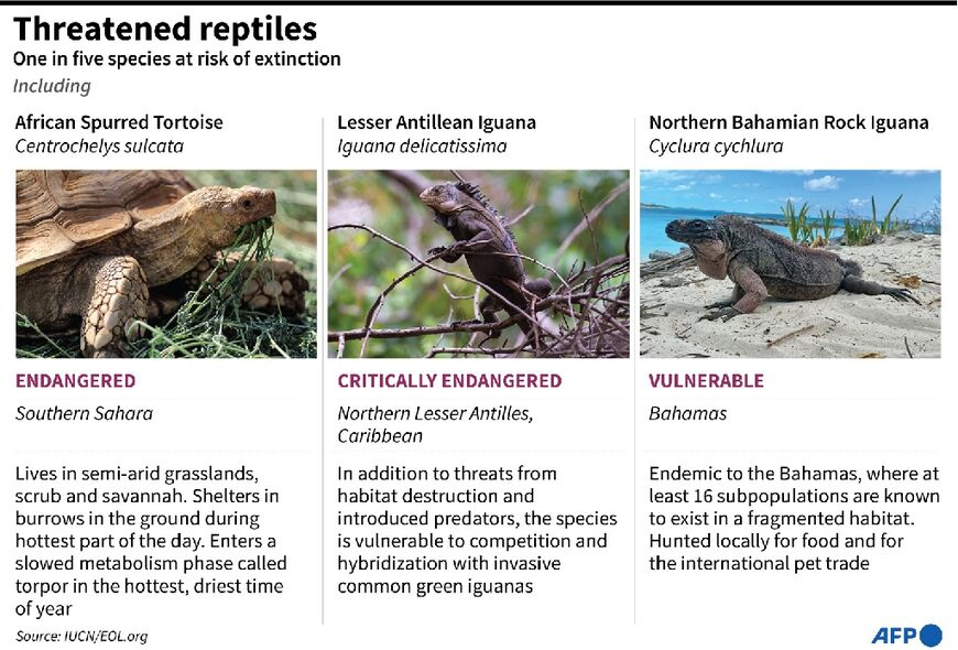 Threatened reptiles