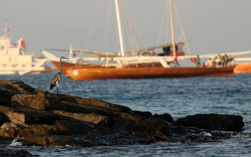Dhows have a centuries-old heritage in Arabian waters, as the craft have traditionally been used for fishing and pearl diving
