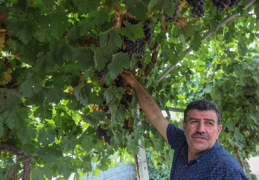 Iraqi Kurdish farmer Hamid Ismail Abdulrahman, 47, at his farm near the Kurdish Iraqi town of Halabja
