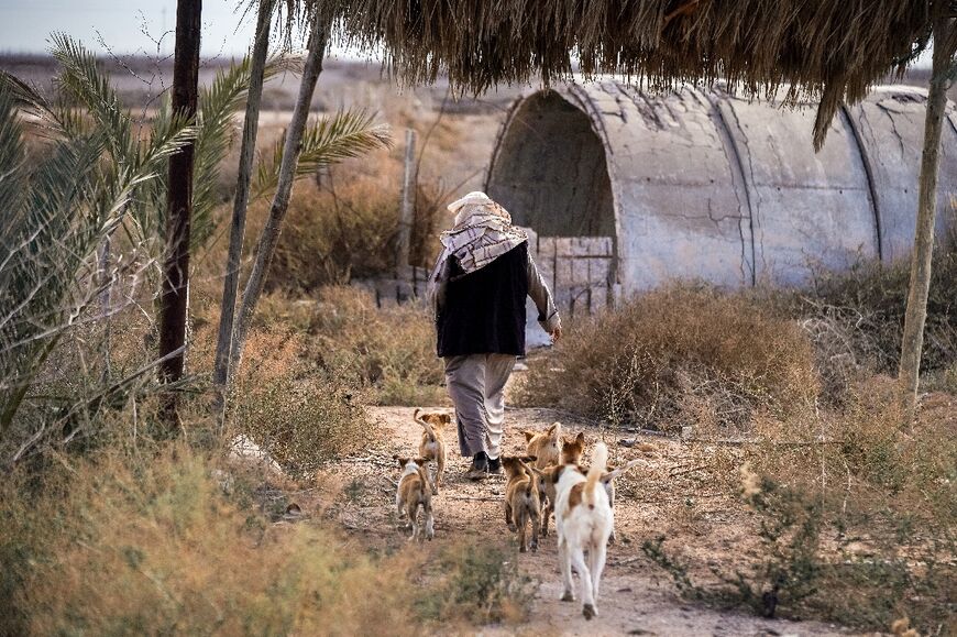 'There is no more life': despairing farmer Molla al-Rached and his dogs near the confluence of the Tigris and the Euphrates
