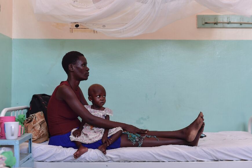 Devesatating drought in the Horn of Africa has pushed millions to the brink of starvation 