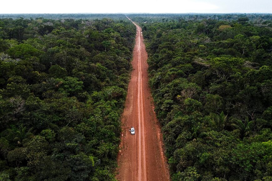 According to Amazon Conservation, which tracks deforestation in the region, around 13 percent of the original biomass of the Amazon rainforest has already disappeared