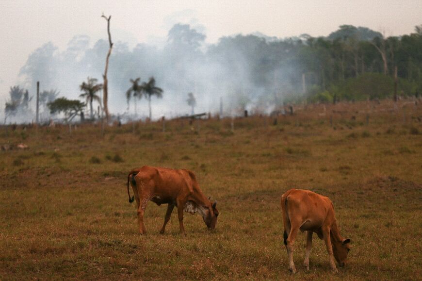 Fires burn alongside the Transamazonica highway in Manicoré, in Amazonas, Brazil on September 22, 2022