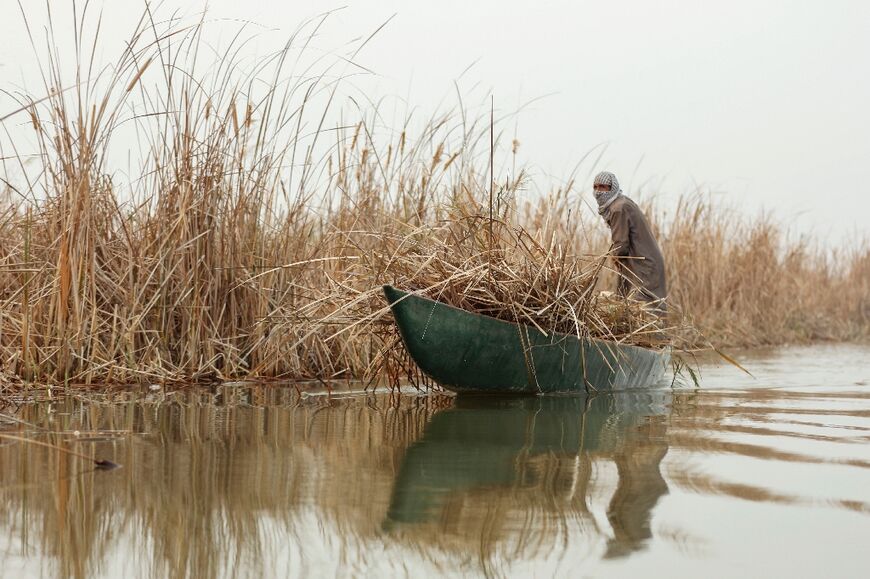 Iraq's Mesopotamian marshes were parched and dusty last summer, but winter rains offer relief