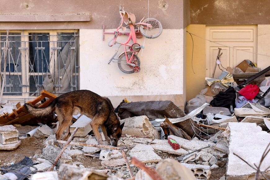 A rescue dog searches for victims and survivors in Jableh, northwest of the Syrian capital, on Sunday 