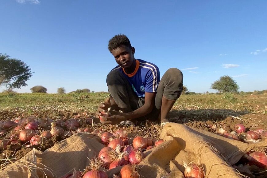 Significant challenges exist for Sudanese farmers getting produce to market, let alone selling it -- with fuel prices skyrocketing and trucks carrying goods at risk of getting caught in the crossfire