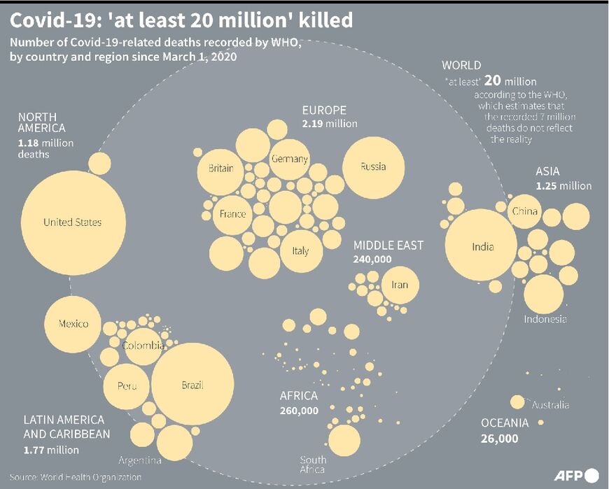 Covid-19: 'at least 20 million' killed 