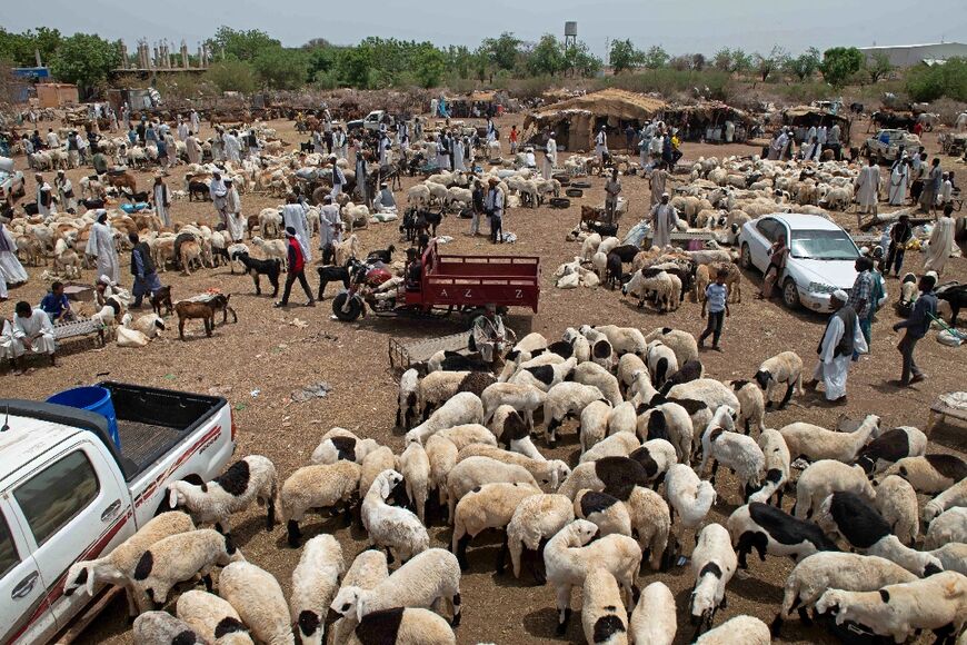 Trade has been slow at Sudanese livestock markets amid the conflict, including this one in al-Hasaheisa, about 120 kilometres south of Khartoum
