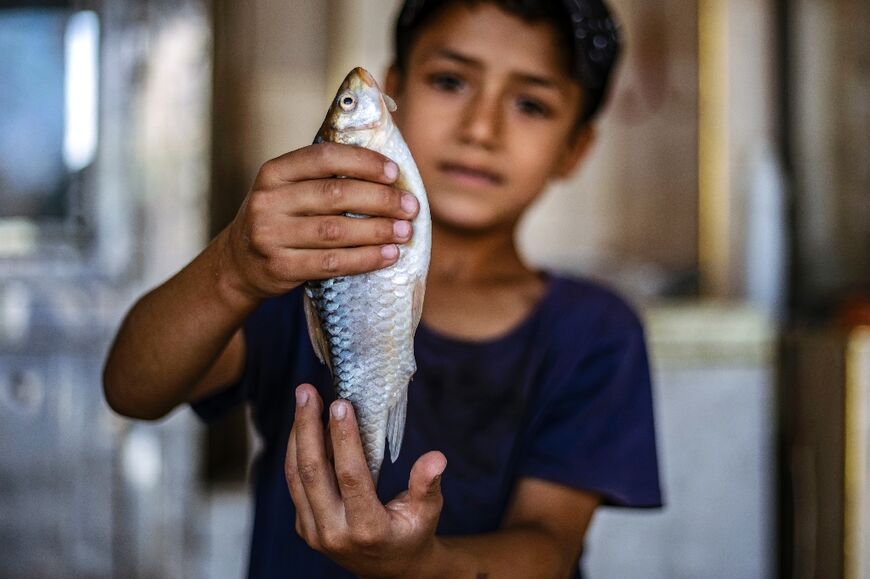 A young boy holds a fish inside a shop in Syria's northeastern city of Raqa 
