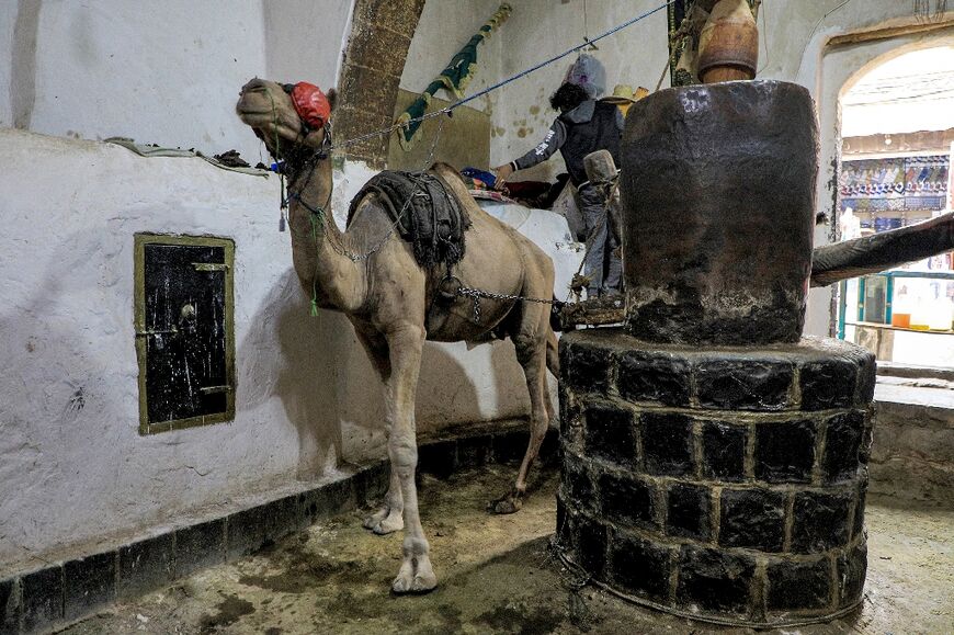 The Old City boasts historical gems like this traditional camel-powered press producing natural oils, some of which have been lost forever