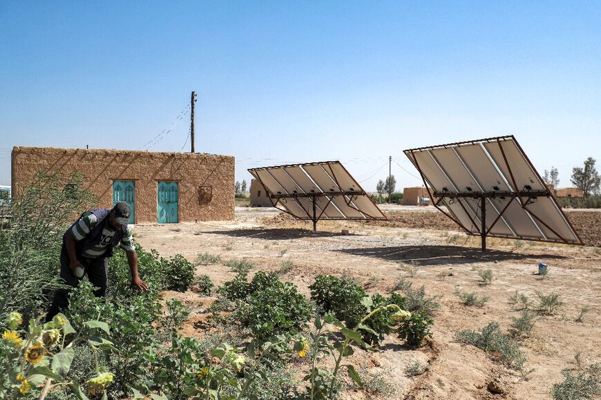 Syrian farmer Abdullah al-Mohammed checks on plants near solar panels powering irrigation, which have helped many farmers during drought and power shortages 