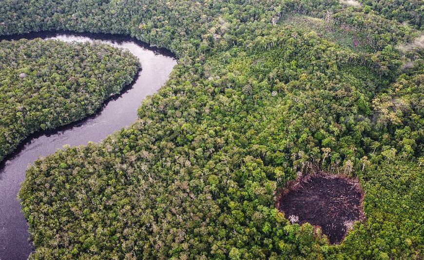 An area in Colombia which has been been the target of a deforestation project linked to carbon credits