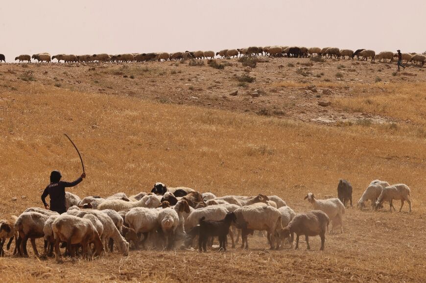 The Palestinian sheep farmers live in a remote part of the southern West Bank, but they have still faced settler attacks