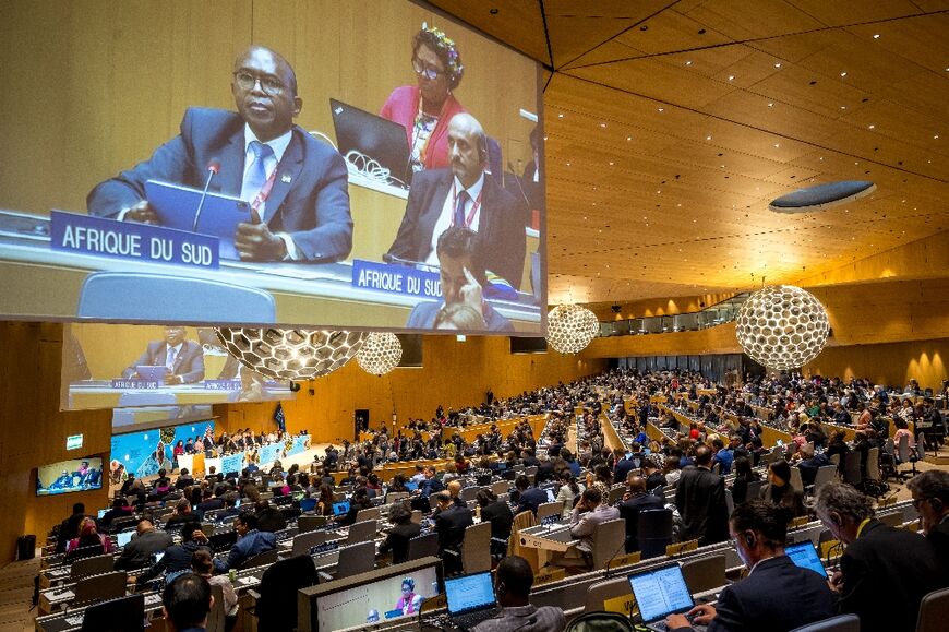 The meeting at WIPO was called the Diplomatic Conference on Genetic Resources and Associated Traditional Knowledge