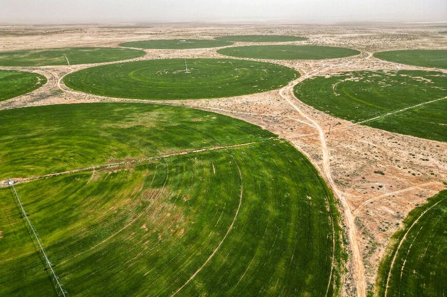 Wheat grows in circular fields irrigated with groundwater near Karbala, Iraq