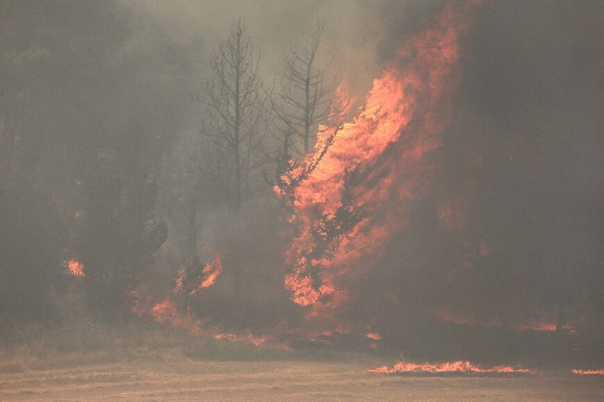 Flames engulf trees during a forest fire near the central Israeli town of Beit Shemesh 