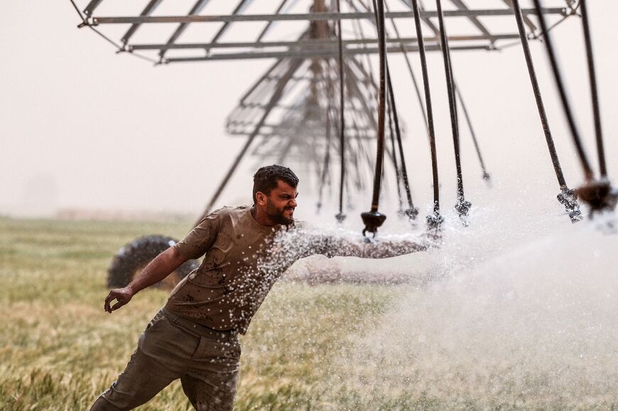 Farmer Zain al-Abidin adjusts the irrigation system in Najaf, where desert farming has expanded considerably